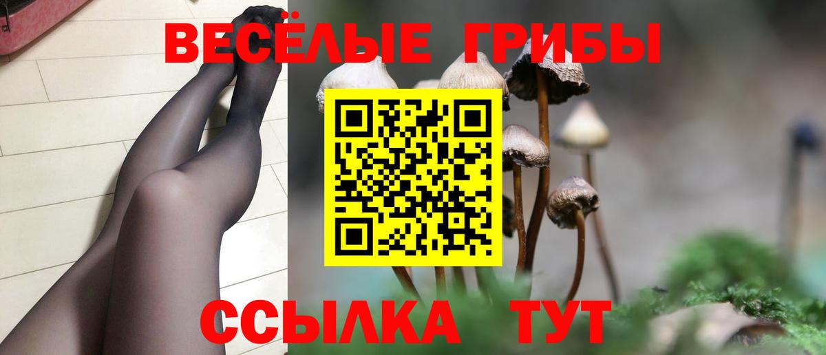 Псилоцибиновые грибы Psilocybine cubensis  Вход с VPN  Видное  Псилоцибиновые грибы Cubensis 